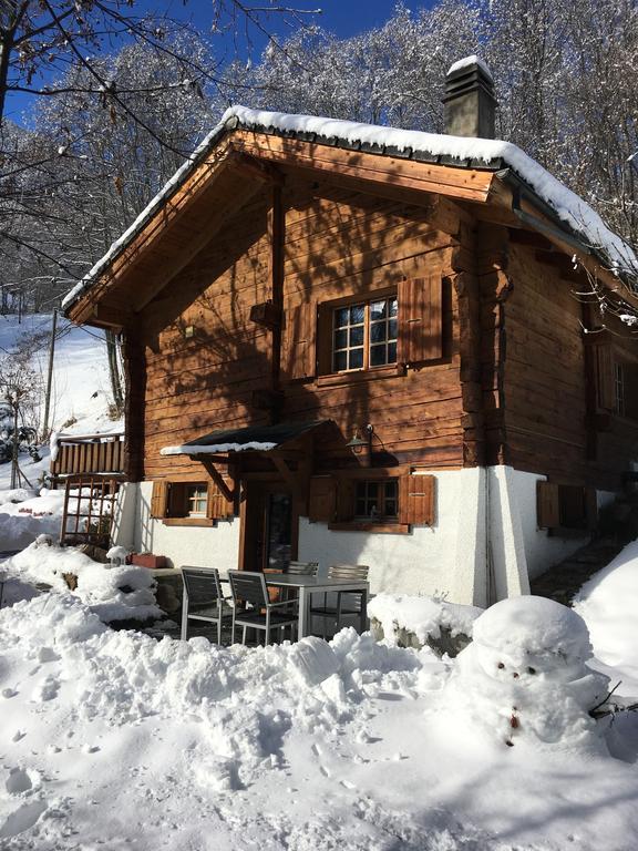 Chalet Les Rindes Nendaz Bagian luar foto